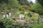 VT090500047
