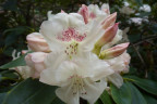 VT090500050