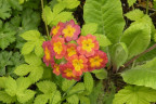 VT090500072