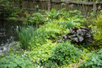 VT090500084