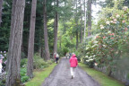 VT090500087