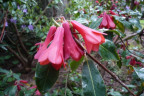 VT090500104