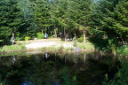 WV1205067