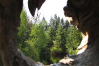WV1205070
