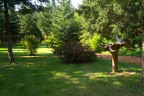 WV1205072