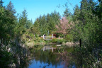 WV1205074