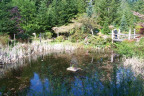 WV1205075