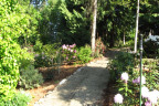 WV1205179