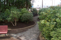 WP1104055