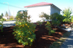 WP1209175